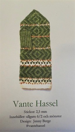 Stickning set Vante Hassel Grön